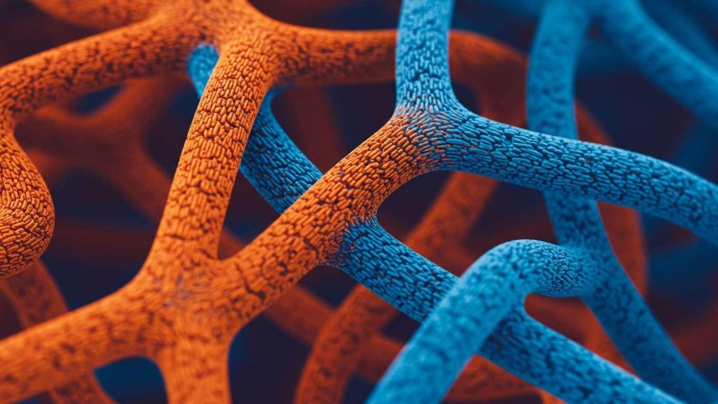 druzhba i stress kak druz ja pomogajut spravit sja 2