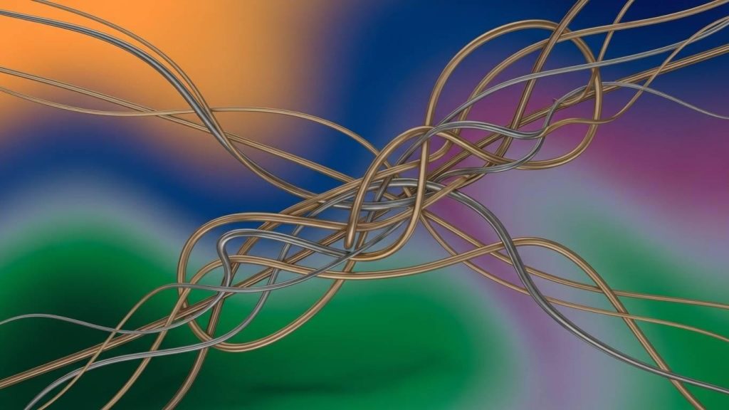 effekt obschenija na prodolzhitel nost zhizni 3