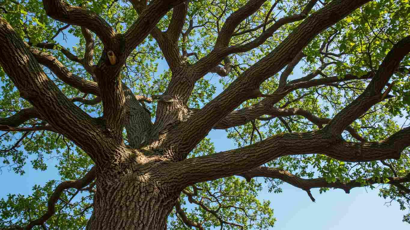 kak razvivat emotsional nuju ustojchivost 1