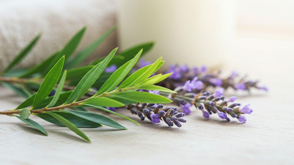 kak spravit sja s akne sovety i rekomendatsii 3