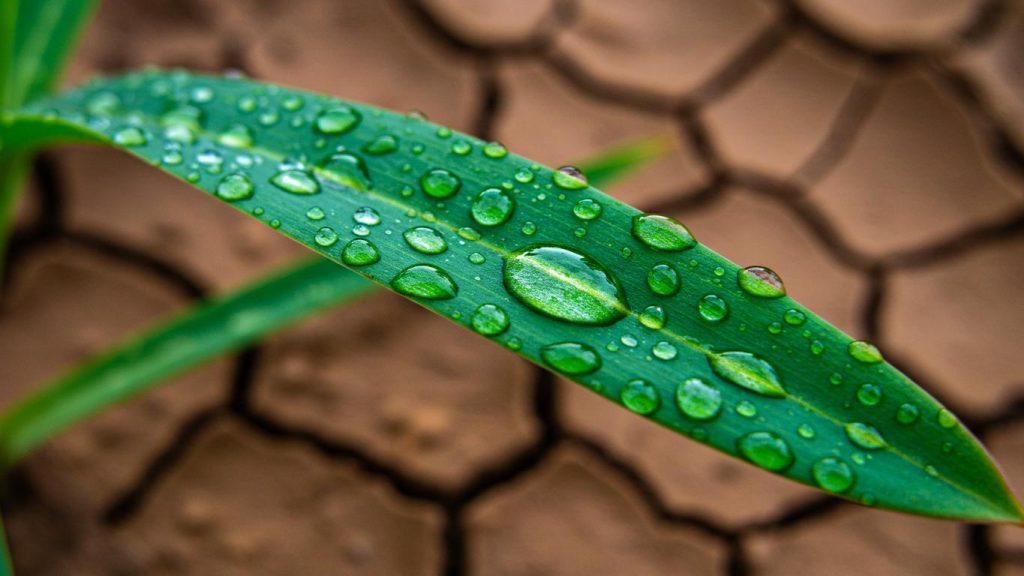 prichiny i lechenie suhosti kozhi chto nuzhno znat 3